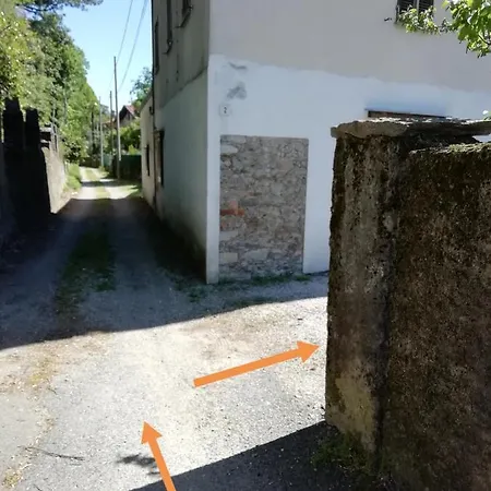 Il Cactus *