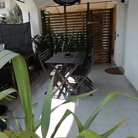 Il Cactus *